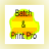 Batch & Print Pro