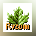 Ryzom