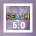 REACH Interface Author