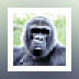 DancingGorilla