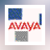 Avaya Agent