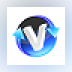 VASA Video Converter