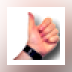 ThumbsDisplay