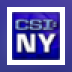 CSI NY