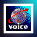 RapidComm Voice