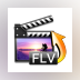 Aunsoft FLV Converter