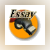 Essay Punch Evaluation