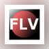 Winner FLV Video Converter