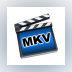 iOrgSoft MKV Converter