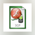 Flash to 3GP Converter