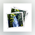 Duplicate Picture Finder