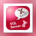 XlsToSql