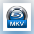 4Videosoft Blu-ray to MKV Ripper