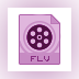 FLV Viewer