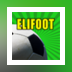 Elifoot 2014