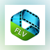 4Videosoft FLV to Video Converter