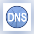 Simple DNS Plus