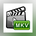 Aimersoft MKV Converter