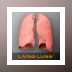 Living Lung™ - Lung Viewer