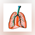 Respiratory System H