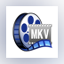 Anee MKVConverter