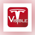 VisibleTesla