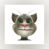 Talking Tom Cat