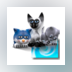 3D Desktop Kitty Cats Screen Saver