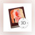 Anatomy Lesson 3D