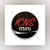 ICNSmini