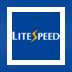 LiteSpeed Web Server