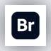 Adobe Bridge 2021