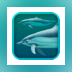 Dolphins 3D