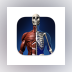 Anatomical Atlas