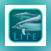 Dolphins 3D Lite