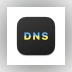 DNS Client